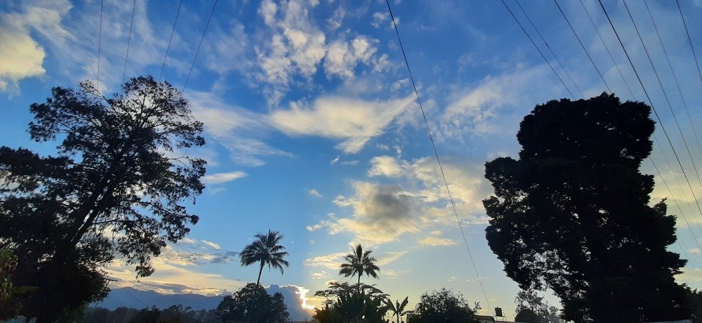 Photo #4635384