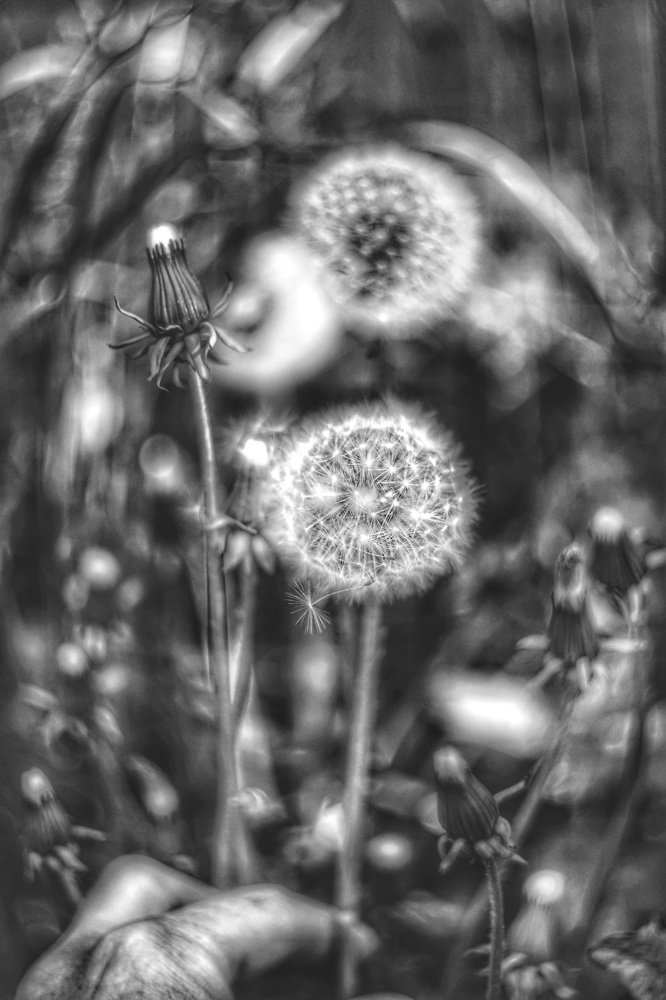 Photograph by Эдуард Саитгалеев