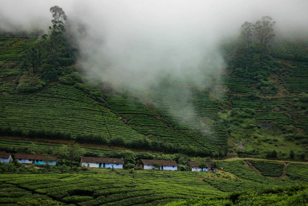 Photograph by Sundaram