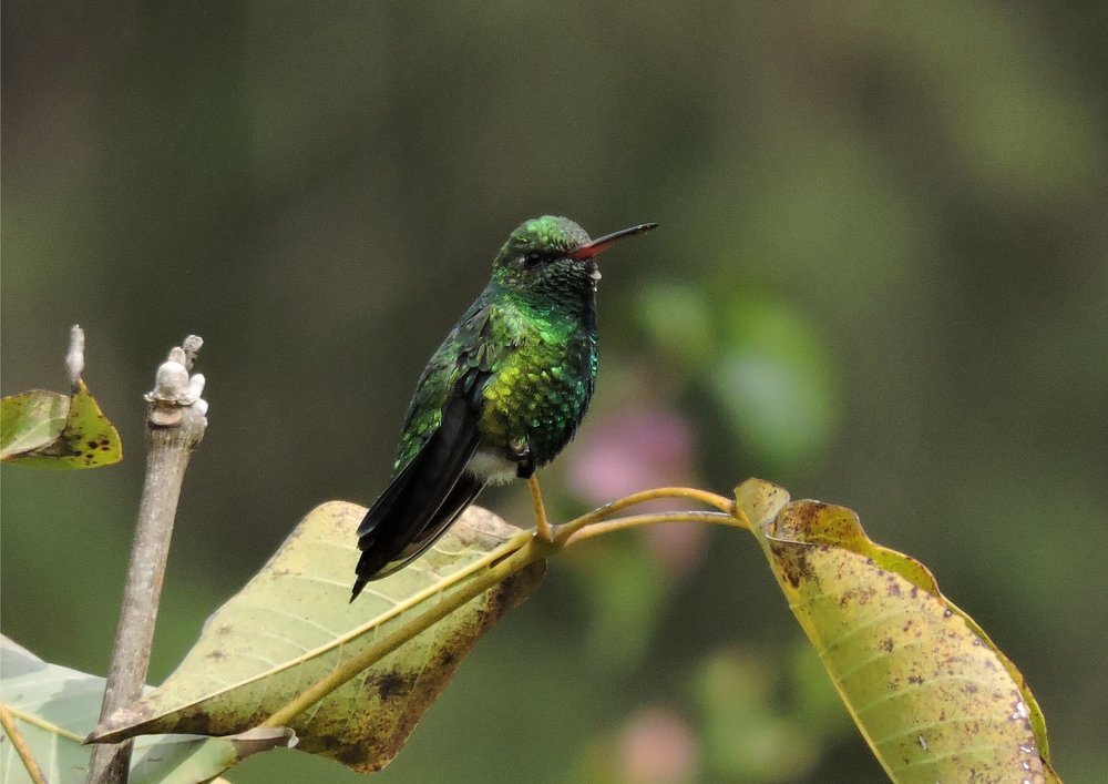 Photograph by Vivianne Escobar