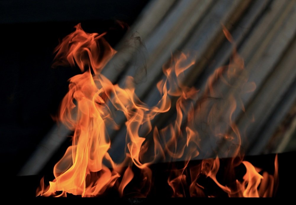 Photograph by Леунина Людмила