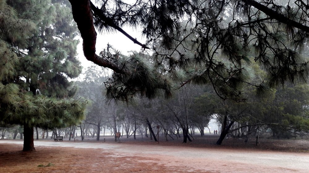 NOUZHAT HASSAN FROM MOROCCO