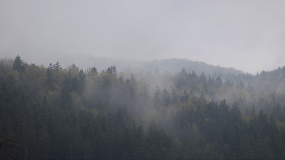 Photograph by Андрей Телибаев