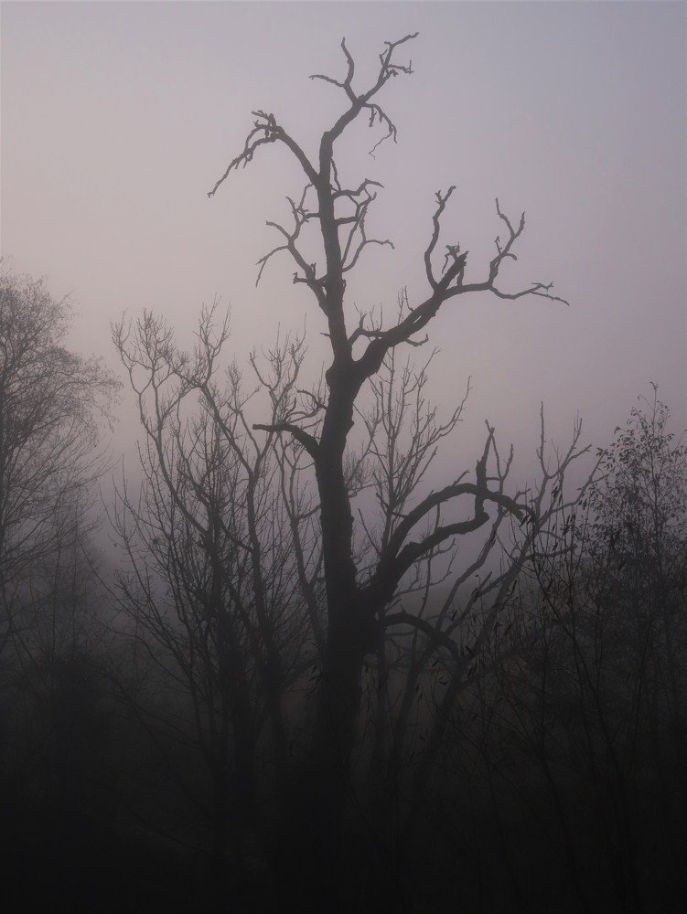 Photograph by Андрей Телибаев