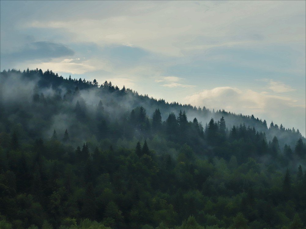 Photograph by Андрей Телибаев