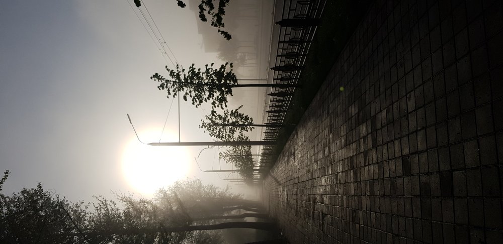 Photograph by Хофиз Юлдошев