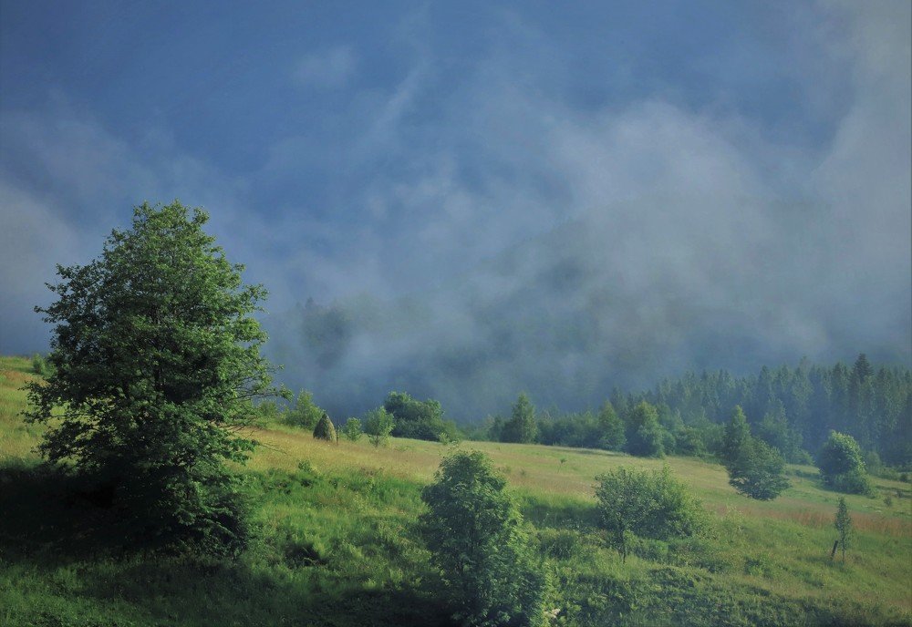 Photograph by Андрей Телибаев