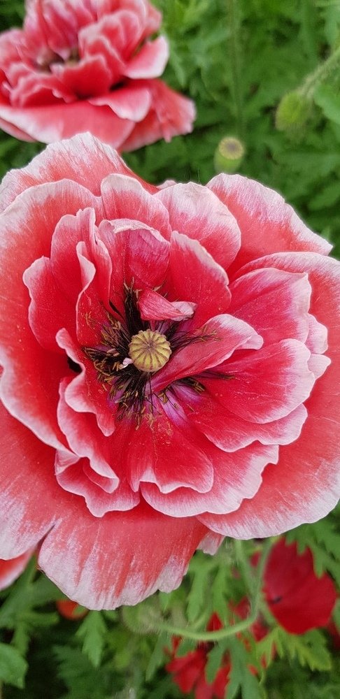 Фотография автора Ольга Мусина