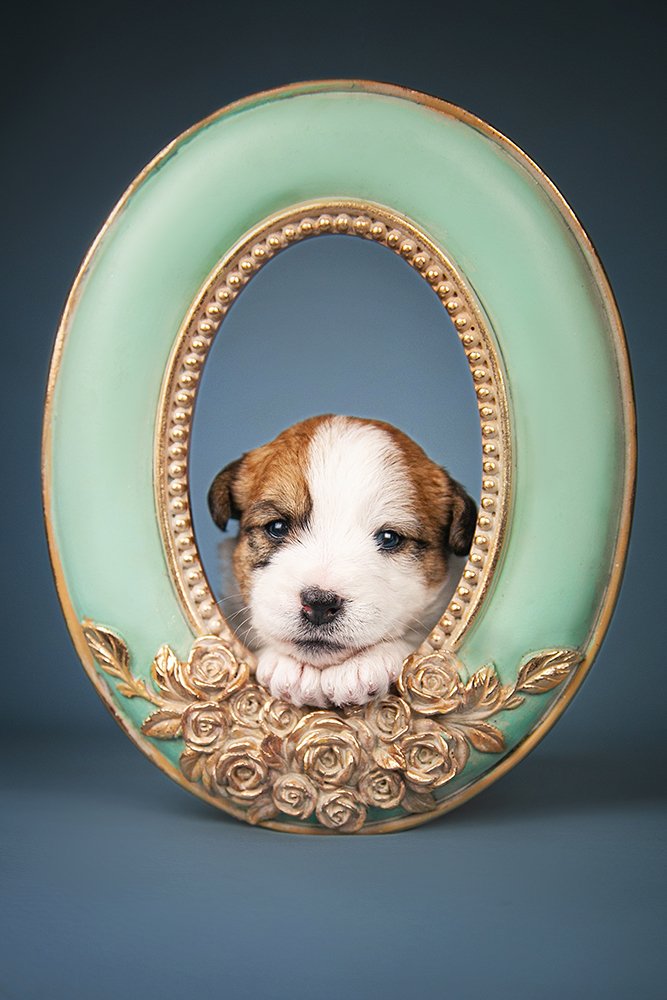 Photograph by Ирина Глазурь