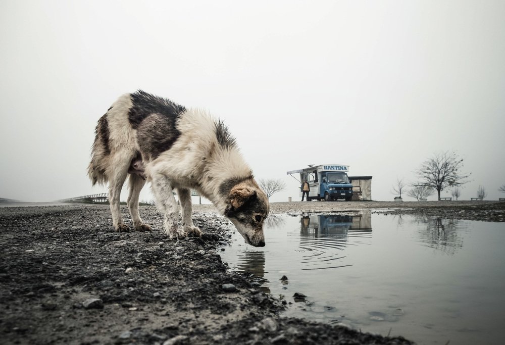 Photograph by Dimitris Vavliaras