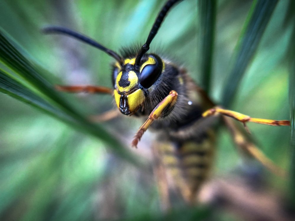 Photograph by Сергей Фаренюк