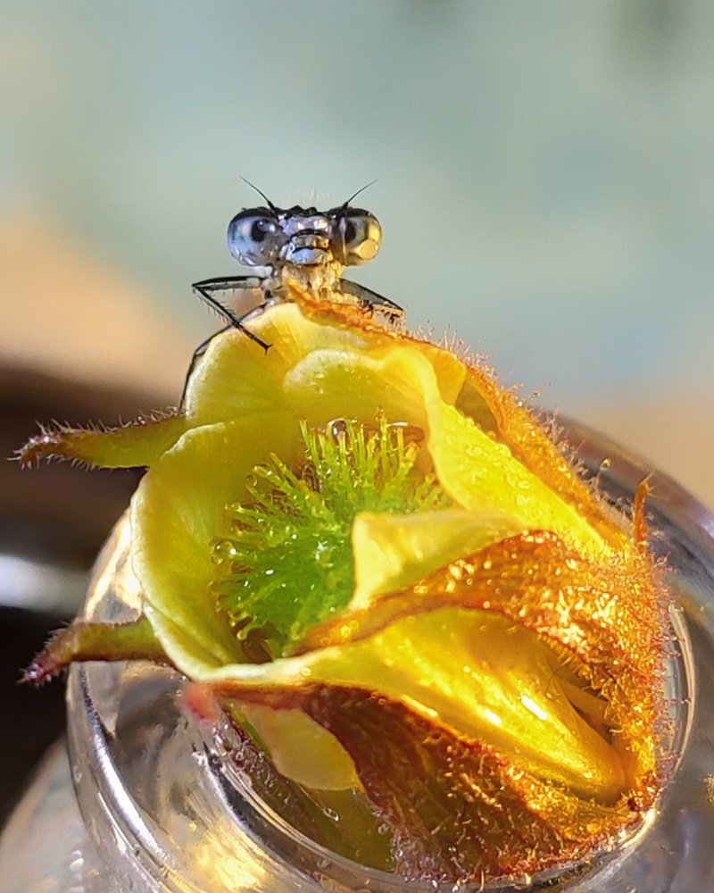 Photograph by Алеся Писнова