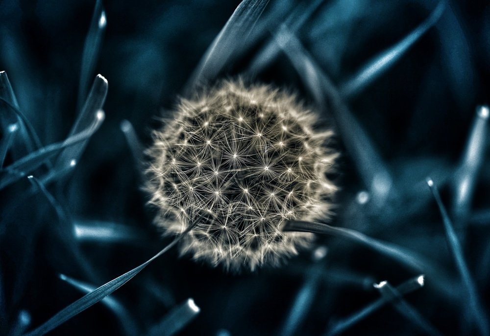 Photograph by Михаил Логвиненко