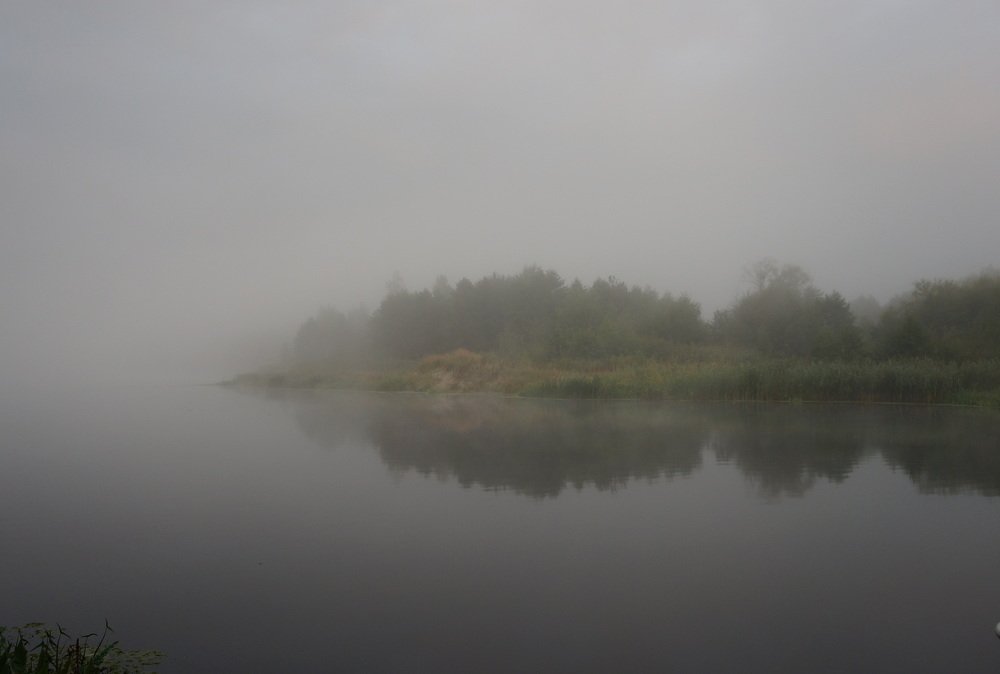 Беларусь . В  тумане  остров  зеленеет ...