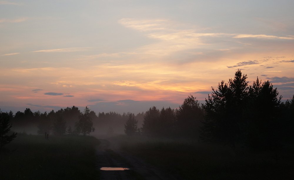 Ночной  туман  в  деревню  опустился ...