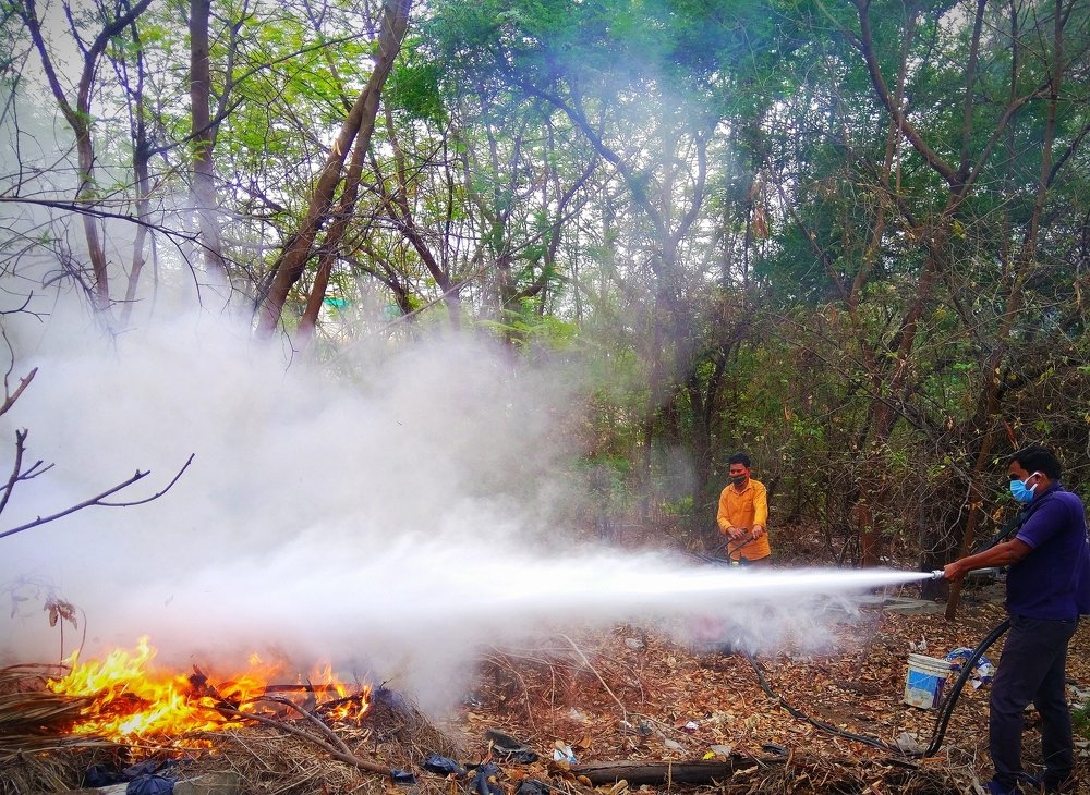 Фотография автора Parag Purkar