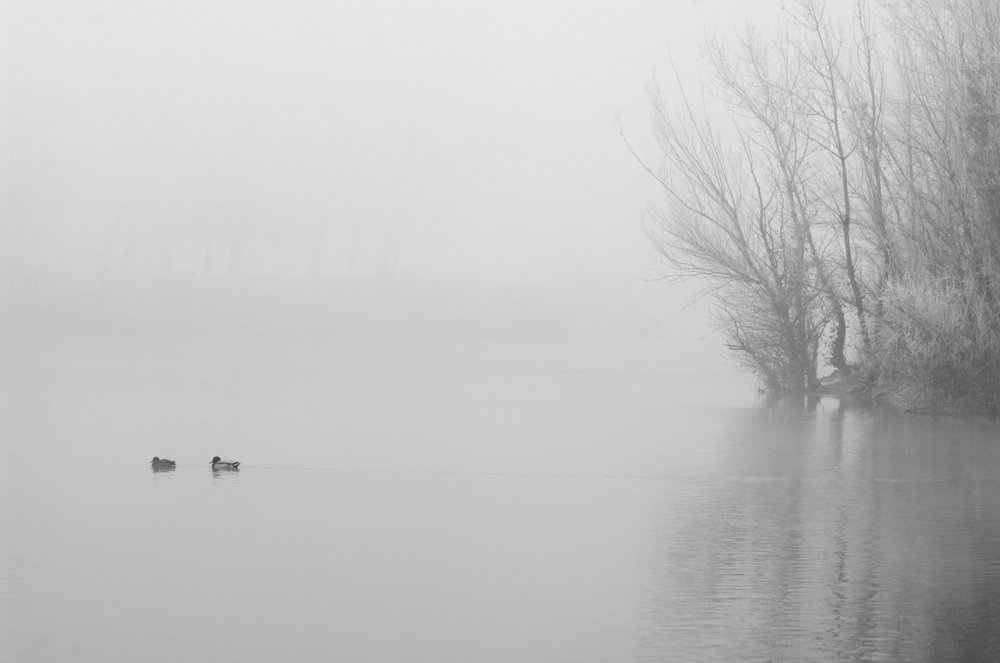 Photograph by Alba Zoe Gržin