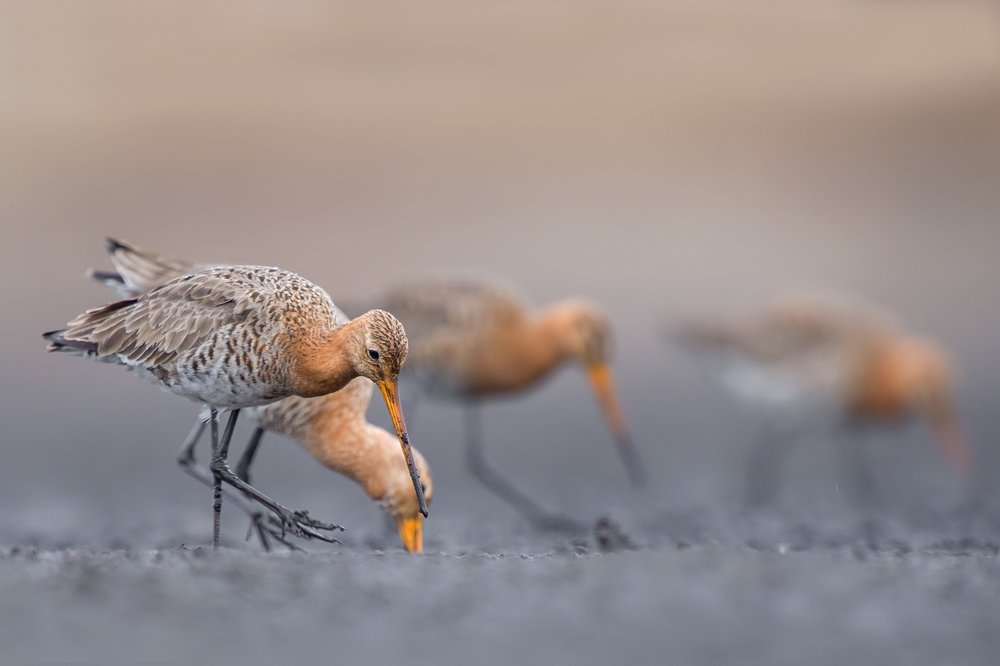 Photograph by Damian Kwasek
