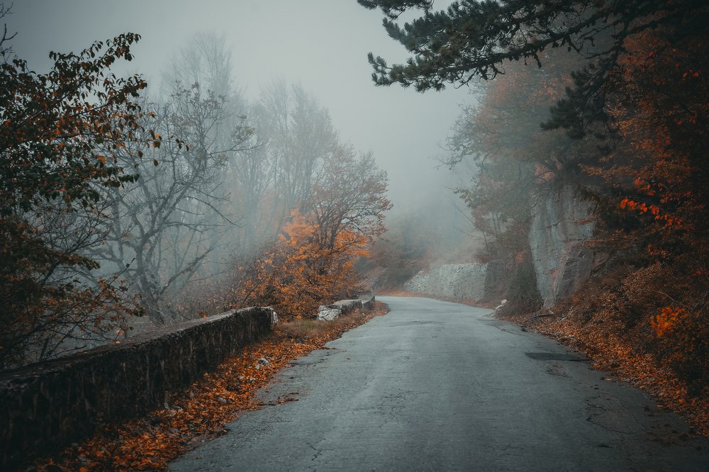 Photograph by Алексей Тихонов