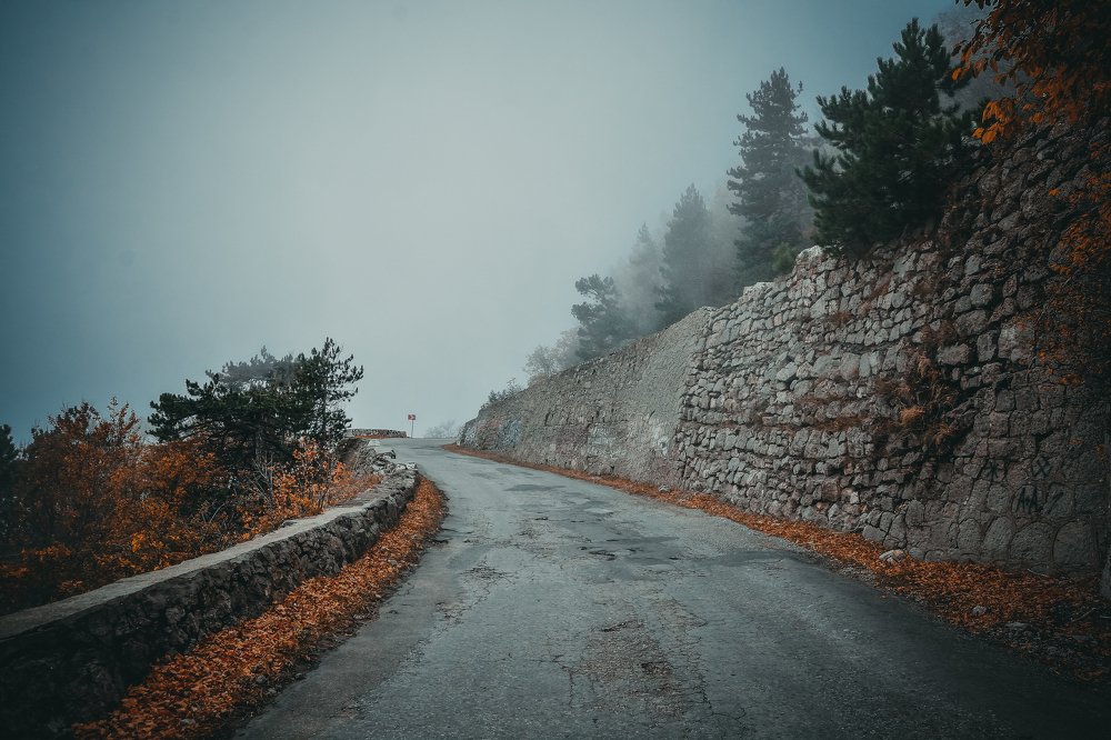 Photograph by Алексей Тихонов