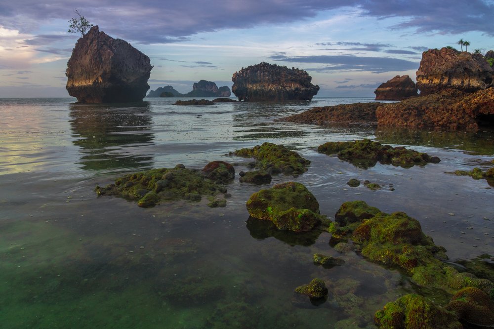 Photograph by Наталия Мостовая