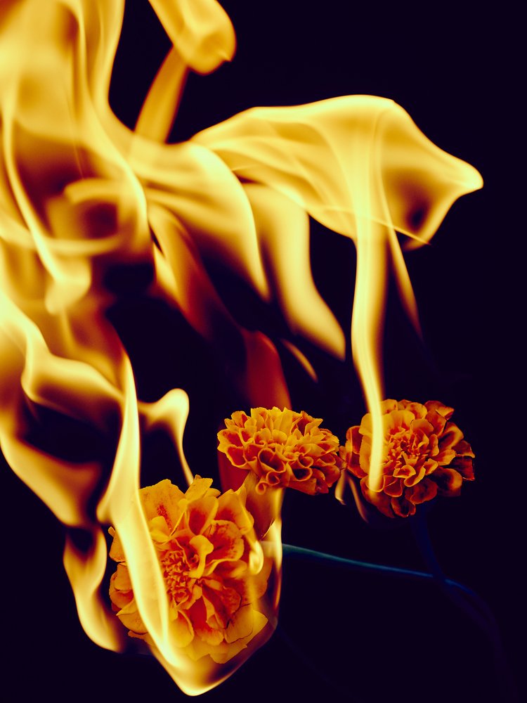 Photograph by Дмитрий Федоровский