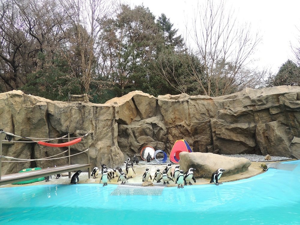 Photograph by Анжелика Гончарова