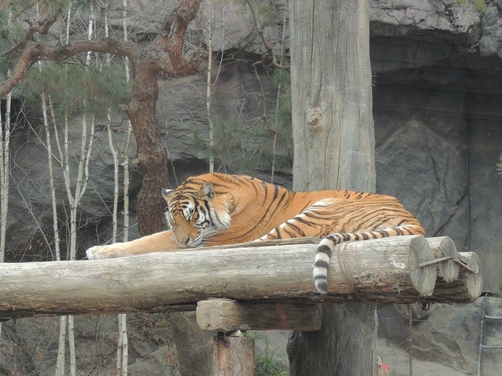 Photograph by Анжелика Гончарова