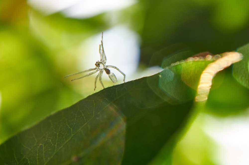 Photograph by Александр Пугачев