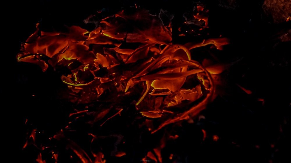 Photograph by phantoms thief