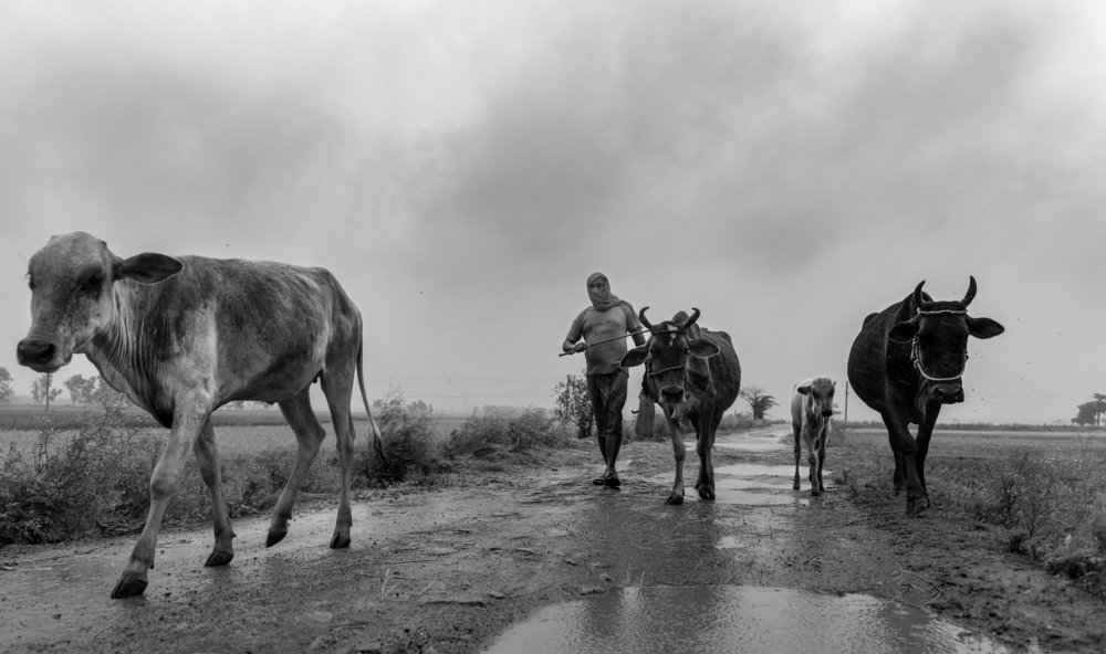 Photograph by amit mondal