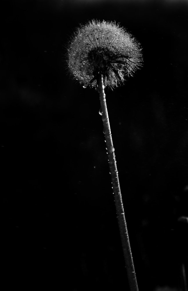 Photograph by Валентина Козлова