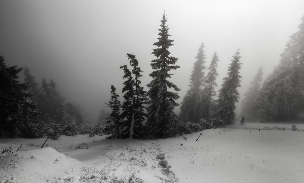 Photograph by Elena Gebert