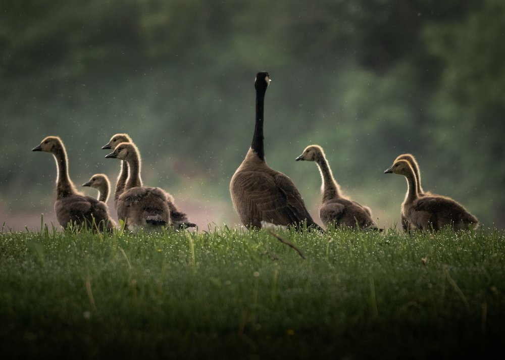 Photograph by JAMES BAILEY