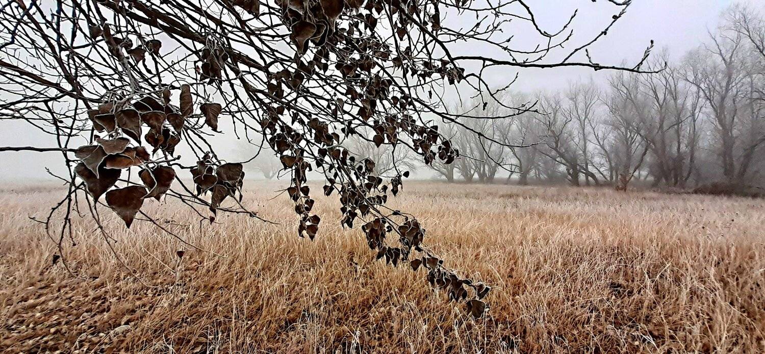 Photo #4636211