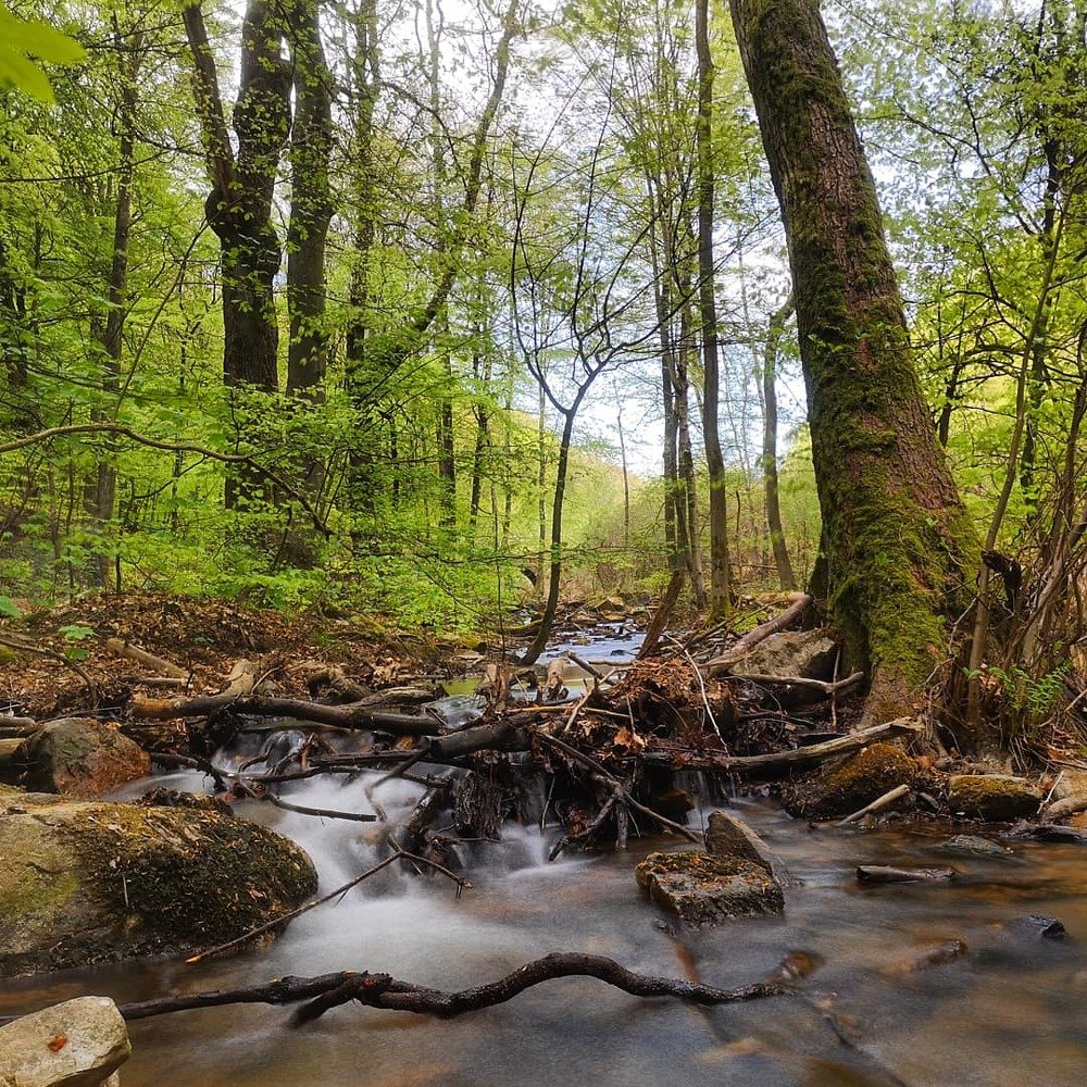 Photograph by Dmitry Shvarev