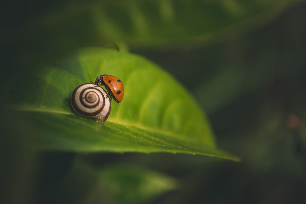 Photograph by Fahrudin Seferagić