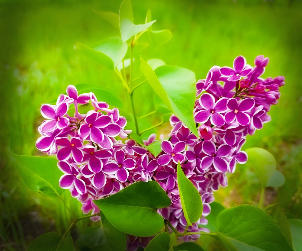 Photograph by петр чиков