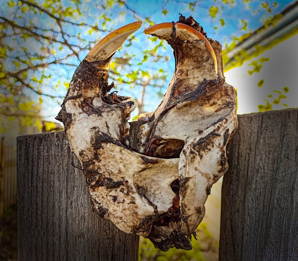 Photograph by петр чиков