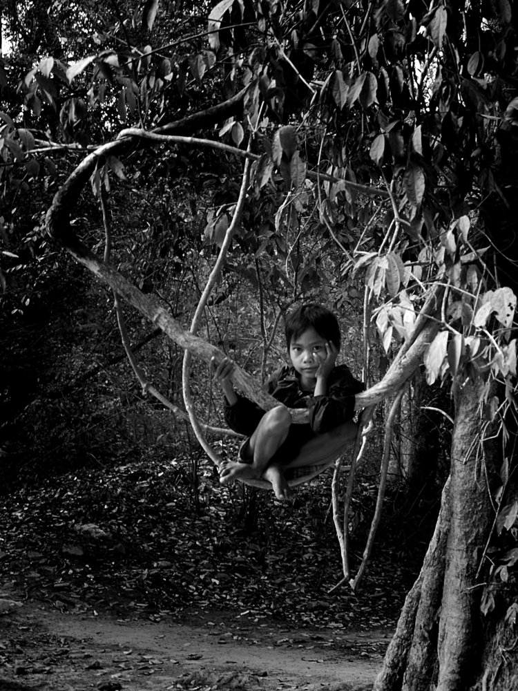 Photo #4636405