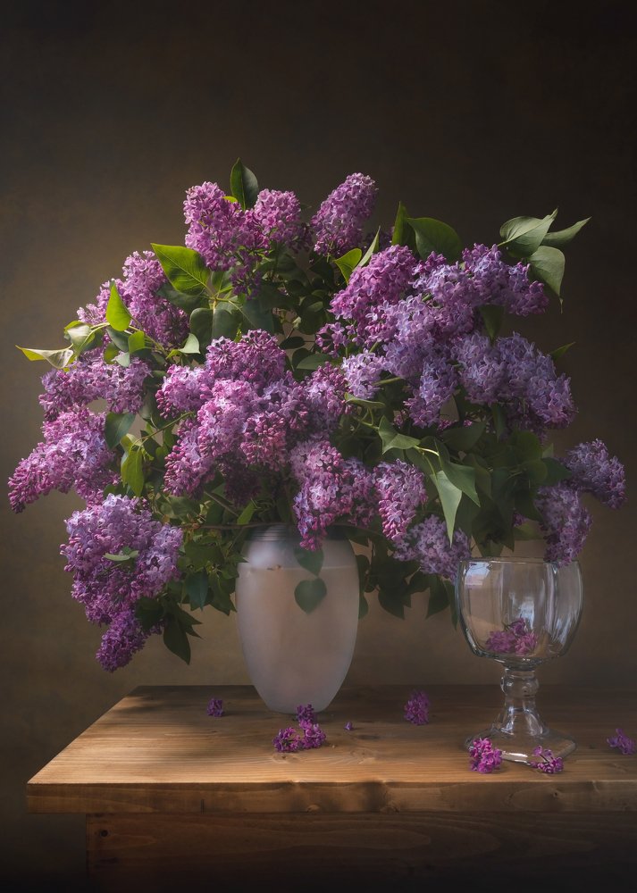 Фотография автора Марис Анкевицс