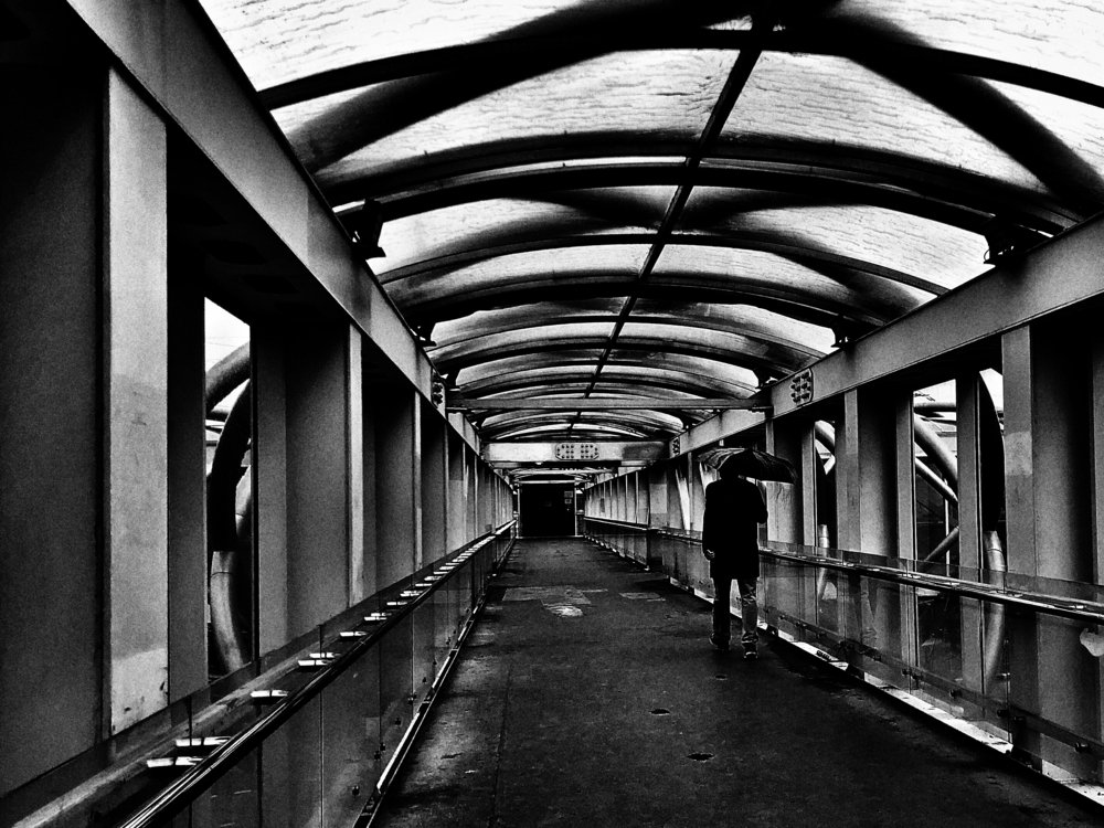 Photograph by Вячеслав Камышев