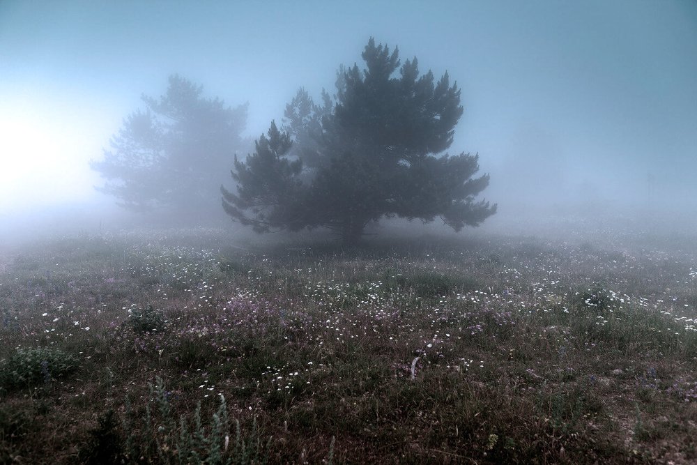Фотография автора Владимир Шалимов