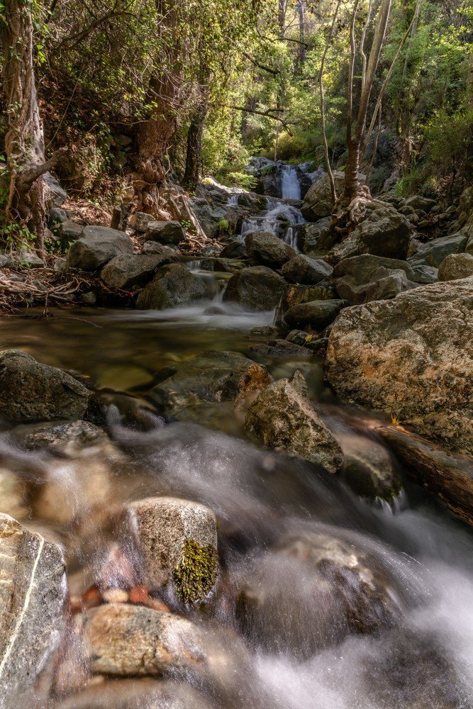 Photograph by Ognyan Levashki