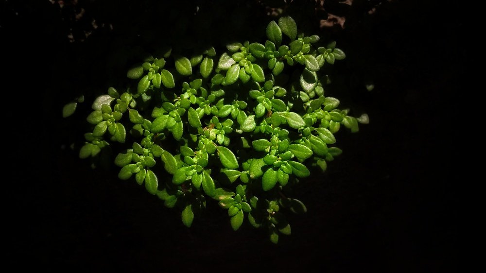 Photograph by Omkar Mane