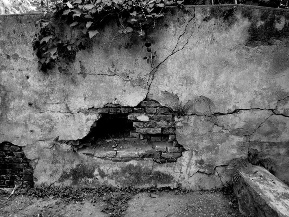 Photograph by Wan Moraez