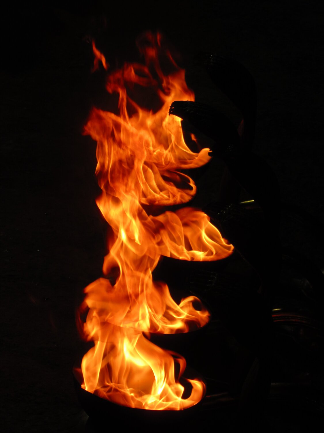 Photo #4636650