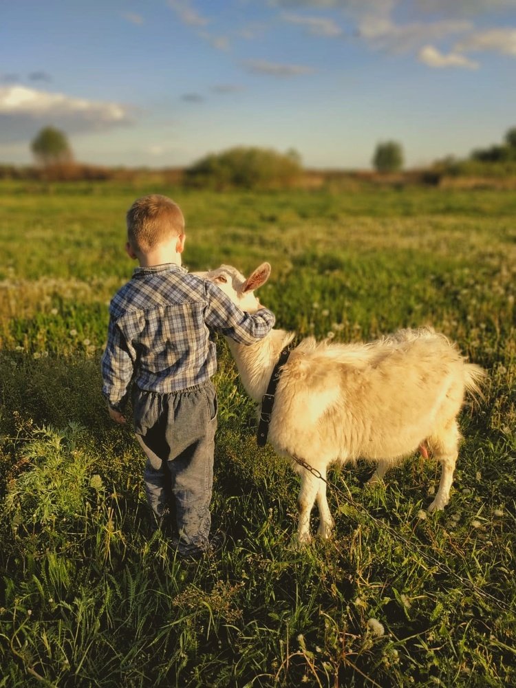 Самоизоляция