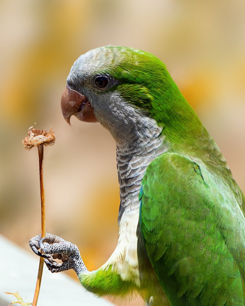 Photograph by David Lerer