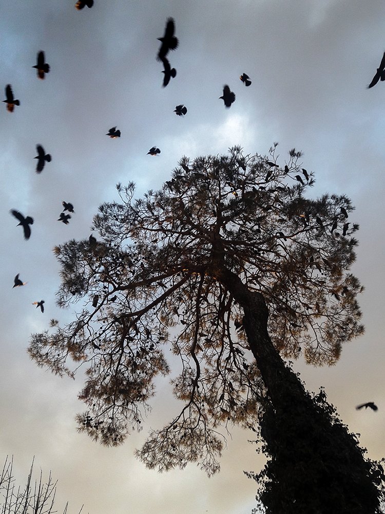 Фотография автора Erfan Rabiei dastjerdi